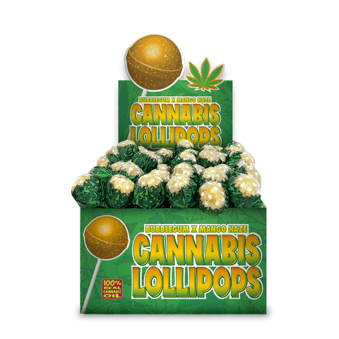 Cannabis Bublegum x Mango Haze (Lollipops) Doctor CBD | Comprar CBD Portugal