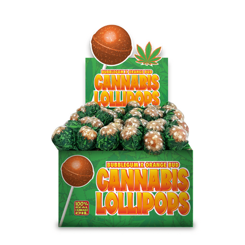 Cannabis Bublegum x Orangee Bud (Lollipops) Doctor CBD | Comprar CBD Portugal