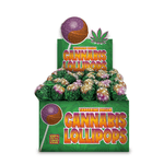 Cannabis Purple Haze x Tangerine Dream (Lollipops) Doctor CBD | Comprar CBD Portugal